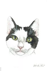 Buy ACEO Original Watercolor Painting 2.5  X 3.5  Black & White Kitty Pet Portrait • 20.67£