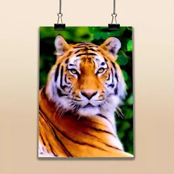 Buy Tiger Copy Of Painting Wild Animal Nature Large Poster Big Cat Drawing Feline • 2.59£