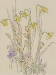 Buy Jill Dickin - Contemporary Watercolour, Daffodils And Other Flowers • 22£