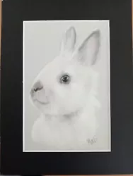 Buy Pastel Portrait If A Bunny Rabbit Original Art Picture Xmas Gift • 4.99£