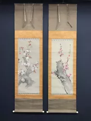 Buy Nw5881 Hanging Scroll  White And Pink Cherry Blossoms  By 酔桜山人 • 378.89£