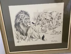 Buy Signed William Timym Framed Pastel Drawing ‘Lion’ • 300£