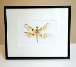 Buy Dragonfly - Original Watercolour Painting Signed - Framed 8x10inch STUDIO SALE • 30£