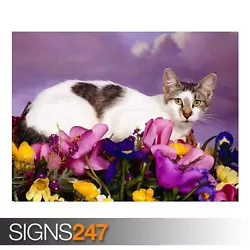 Buy LOVELY CAT (3636) Animal Poster - Photo Picture Poster Print Art A0 A1 A2 A3 A4 • 1.10£