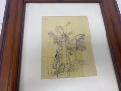 Buy Willow Herb Drawing In Dark Wood Frame- I18 O229 • 8.50£