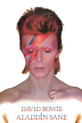 Buy (372) Maxi Poster David Bowie Aladdin Sane Iconic Singer Ziggy Stardust Music • 7.25£
