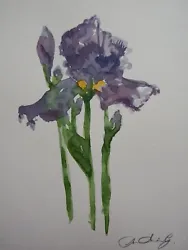 Buy Original Watercolour Flower Painting Of Blue Purple Irises On Cartridge Paper • 29.99£