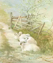 Buy Hampshire Down Sheep And Gate, Book Print Of A  Painting By  Gordon Beningfield • 2.09£