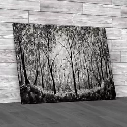 Buy Nature-inspired Forest Tree Painting  To  Black White Canvas Print Large • 18.95£