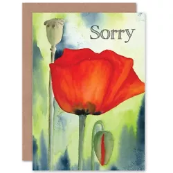 Buy Sorry Poppy Flower Painting Watercolour Red Blank Greeting Card With Envelope • 4.42£