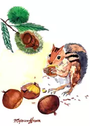 Buy ACEO Limited Edition Chipmunk Cute Animal Art Print Of A Watercolor Nature Lover • 4.98£