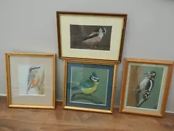 Buy Set Of 4 Pastel Paintings - Various  Birds • 5£